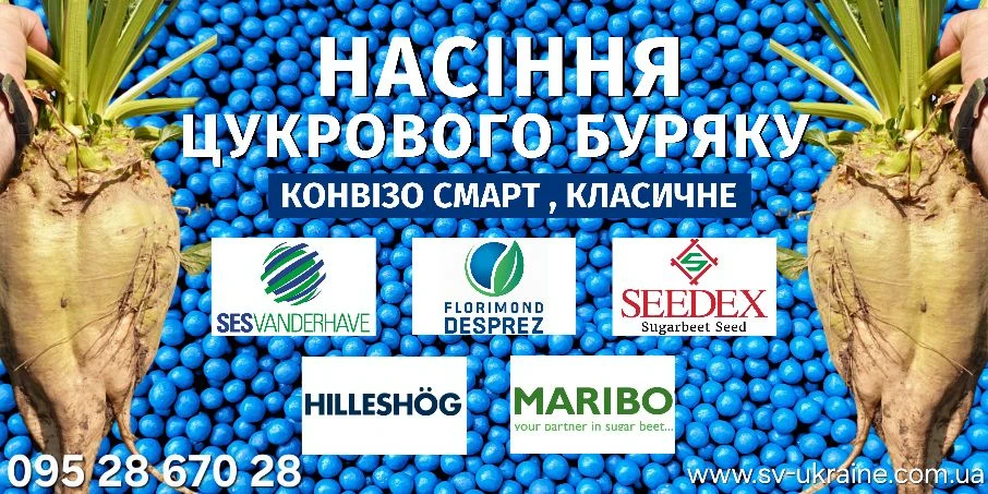 VIP НАСІННЯ ЦУКРОВОГО БУРЯКУ – УВАГА З БОКУ VIP-ПЕРСОН