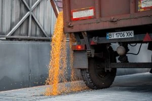 Кукурудза: сухопутний експорт диктує ціни