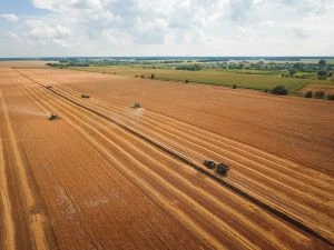 Кредити для аграріїв під заставу врожаю за новою програмою від Уряду