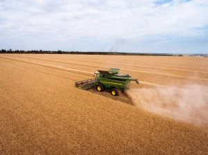 Франція: експорт пшениці під загрозою