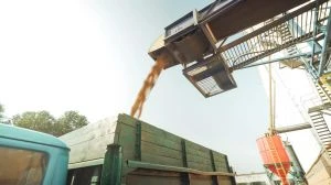 Хто очолив рейтинг експортерів зерна з України у 2026 році