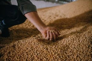 Україна виконала умови для аграрних переговорів з ЄС